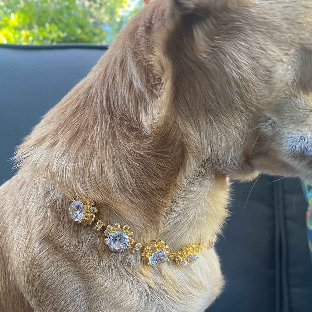 Rhinestone Jewel Fancy Dog Necklace Jewelry Collar - Picture 3 of 6